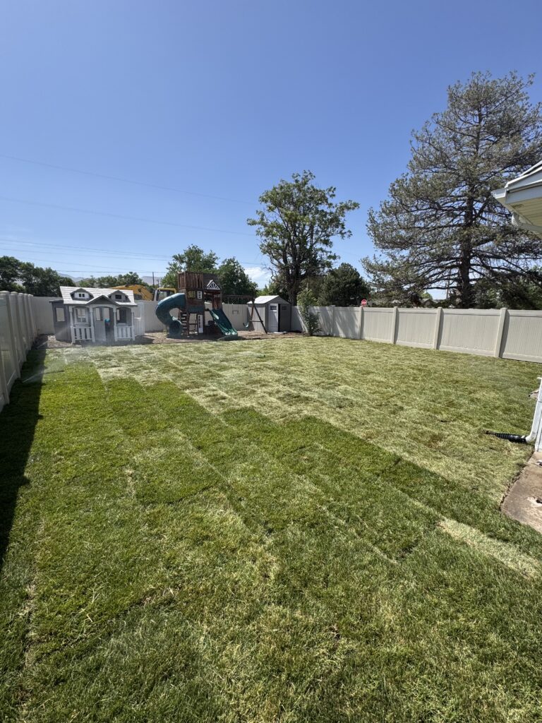 Yard that has been redone with new grass and a sprinkler system.
